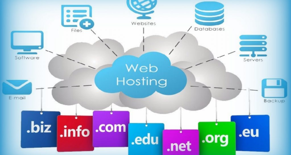 Domain & Hosting Services